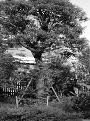 富县注册公司